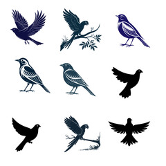 Bird silhouette illustration bundle vector Style with white background