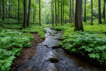 Obraz premium Tranquil Forest Stream Flowing Through Lush Greenery and Vibrant Leafy Vegetation