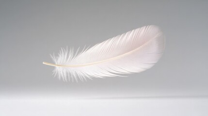 Obraz premium Delicate white feather floating gracefully against soft, minimal