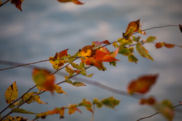 Autumn scenery along the Katsura River in Kyoto, Japan