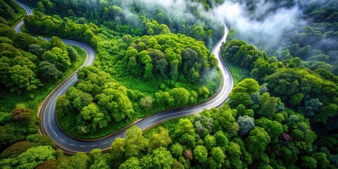 Rainy Season Road Trip: Aerial View of Winding Road Through Lush Green Forest