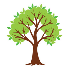 Fototapeta premium Vector illustration of a tree with green leaves representing nature and the seasons
