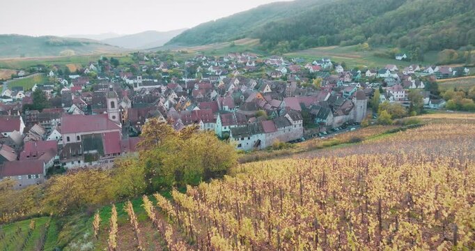 The vineyards of Colmar in the Alsace region of France offer a captivating landscape with the warm tones of autumn. This drone image showcases the harmony of rural architecture and nature.