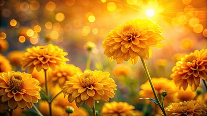 Bokeh Yellow Flower Background, Abstract Floral Photography, Soft Focus Flower Image, Blurred Yellow Flowers, Spring Blossom Backdrop