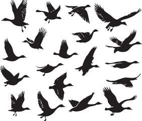 Bird Silhouette Mega Bundle | High-Quality Vector Graphics