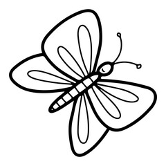Beautiful butterfly. Hand drawn doodle. Winged insect. Flight of moth. Summer season. Wild life animal. Fauna of nature. Vector line art illustration.