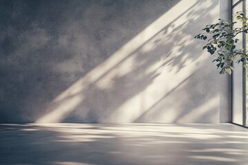 Sunlight casts unique shadows on an empty concrete room with a lone green plant in the corner during the afternoon