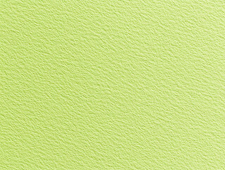 Close-up view of textured light green paper showcasing its unique surface pattern and color