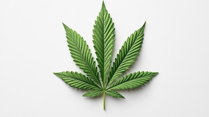 Lush bright green marijuana leaf displayed on a clean white background emphasizing nature's intricacies