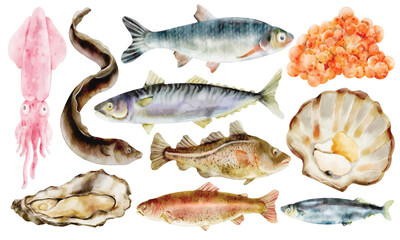 Watercolor Freshwater Seafood Illustration Set, Hand Painted, Realistic, Fish, Eel, Squid, Salmon Roe, Oyster, Scallop, Trout, Perch, River Fish, Shellfish, Marine Life