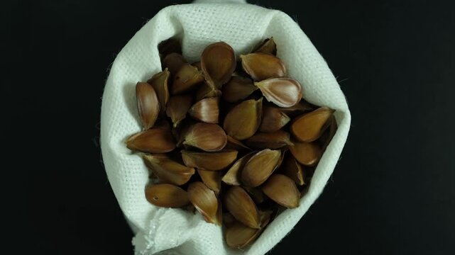 Dried roasted Beech nuts in cloth bag, close-up. Fruits of European beech tree or Fagus sylvatica uses in alternative medicine for improvements in male potency. 4K Video, rotating, top view.