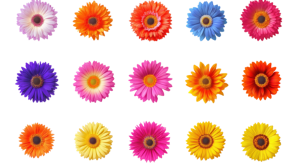 Colorful collection of flowers arranged in a grid pattern showcasing vibrant hues and various species