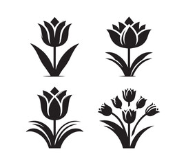 Fototapeta premium Black and White Silhouette set Tulip Designs