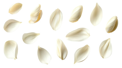 Delicate white petals scattered on a light background creating a serene and calming atmosphere