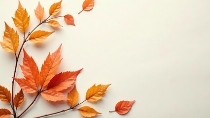 Autumnal Branch and Leaves on a Light Background  A Simple, Elegant Design for Seasonal Greetings