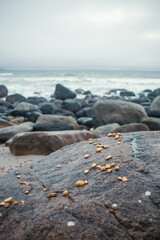 Rocky Seashore at Ogna and Brusand Beach, Norway – Wild Coastal Landscape with Ocean Waves