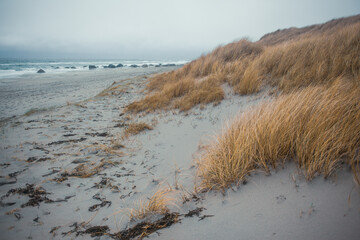 Scenic Coastal Dunes of Ogna and Brusand Beach, Norway – Windy Seashore with Golden Grass