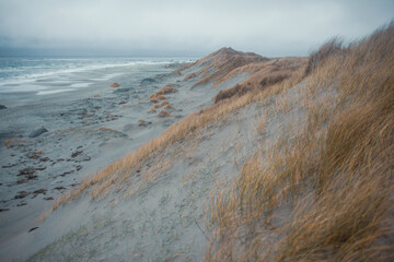 Scenic Coastal Dunes of Ogna and Brusand Beach, Norway – Windy Seashore with Golden Grass