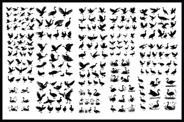 Bird Silhouette Mega Bundle | High-Quality Vector Graphics