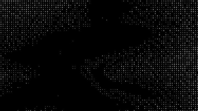 Binary Code Digital Matrix Animation