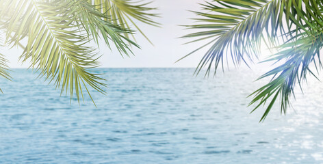 Fototapeta premium Summer sea and seascape with palm branches, sun and clouds in foreground with empty space for text. Defocus background. Blurred travel and vacation backdrop. Abstract summer background design element