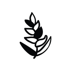 Flower hand draw doodle Vector icon