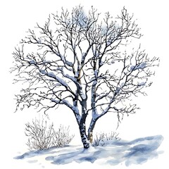 Fototapeta premium Watercolor Painting of a Snow-Covered Tree in Winter. A delicate illustration of a bare tree adorned with winter's first snow.