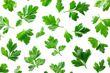 Fresh Green Parsley Leaves Scattered on White Background