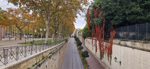 Autumnal Pathway in a European City