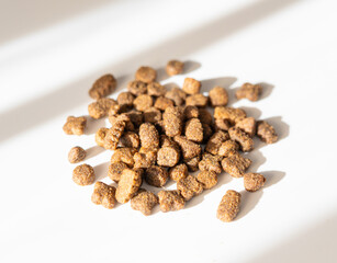 Dry pet food in sunlight, dog kibble pile, scattered puppy pellets, small canine protein croquette