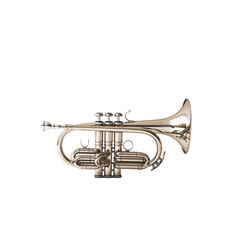 Obraz premium Cornet PNG Transparent background