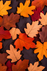 Vibrant autumn leaves in various shades of red, orange, and brown, arranged on a dark background