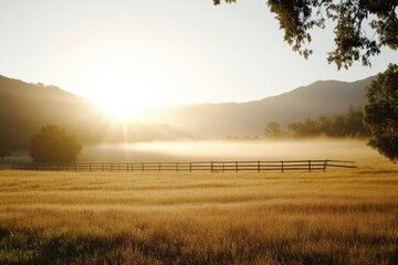 Sunrise over a tranquil horse pasture revealing misty golden fields Generative AI