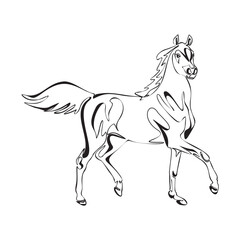 One line drawing Running Horse print, poster, logo template. Horse continuous line vector drawing
