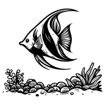 Anglefish Sketch Illustration.
