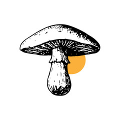 Detailed Black and White Mushroom Illustration with Orange circle background