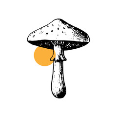 Detailed Black and White Mushroom Illustration with Orange circle background