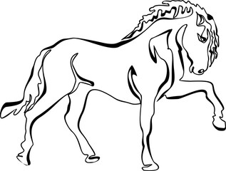 One line drawing Running Horse print, poster, logo template. Horse continuous line vector drawing