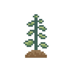Fototapeta premium sprout plant retro pixel art