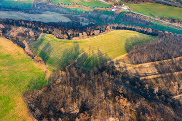 Obraz premium Wildfire burning trees near legarda in navarre, spain, causing deforestation