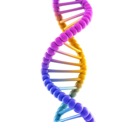 Colorful DNA double helix structure transparent image. Molecular genetics isolated cutout 3d render. Scientific visualization. Biotechnology research cut out clipart design element png