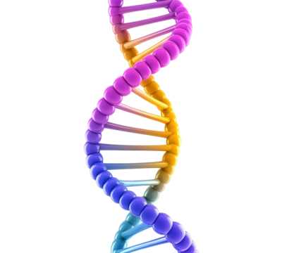 Colorful DNA double helix structure transparent image. Molecular genetics isolated cutout 3d render. Scientific visualization. Biotechnology research cut out clipart design element png