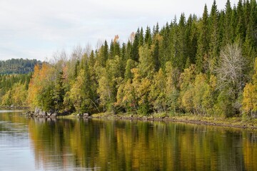 Autumn forest reflecting on a serene lakeside.