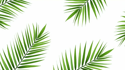 Botanical Palm Leaves Seamless Pattern: Lush Design on White Background for Eco-Friendly Products - Nature-Inspired Branding & Packaging Concept with Empty Space for Customization