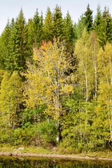 Autumn forest reflection in a tranquil lake.