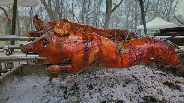 Pigs on Spits, Slow Roasting pork Over BBQ hot coals at food Festival