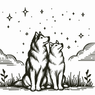 Siberian Husky Couple looking at the stars a minimalist vector graphic depicts love under the night sky
