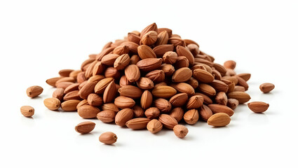 Flat Illustration of Guarana Seeds: Amazon's Energy Drink Secret