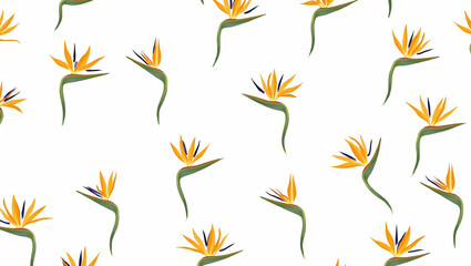 Obraz premium Flat Botanical Bird of Paradise seamless pattern with detailed petals and green stems on white background concept as Detailed botanical Bird of Paradise flowers with lush green stems creating rich sea