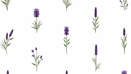 Obraz premium Serene Botanical Garden: Seamless Tile Pattern of Various Lavender Species in Natural Purples